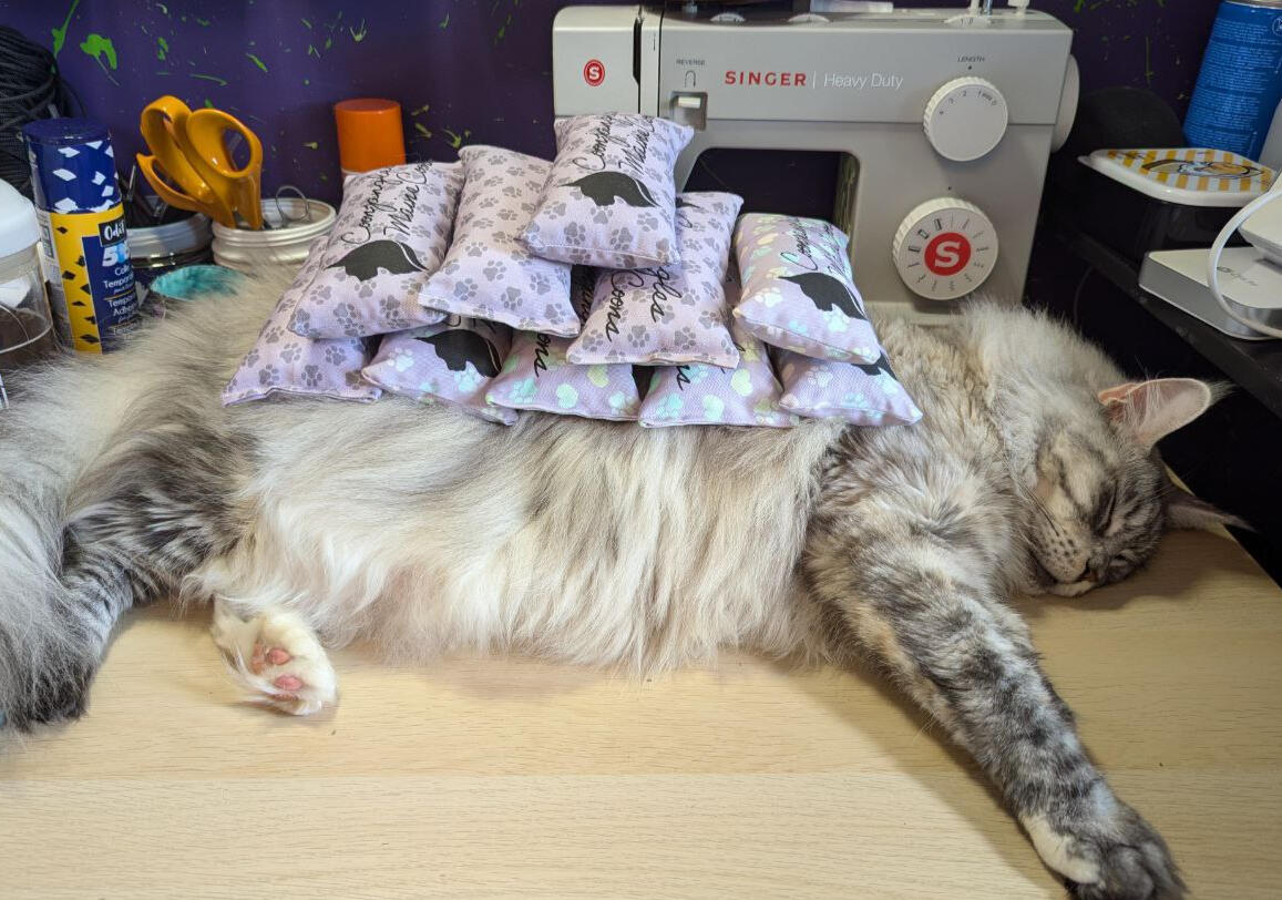 Custom toys for Coonjangles Maine coons